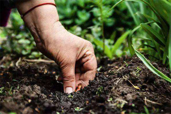 1653009076903300.jpg 54d8e6e3c9bc0a1146f9927a21b527f9.jpg